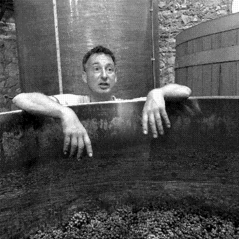 Les Temps des Cerises — natural wine producer