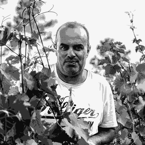 Les Traverses de Fontanes — natural wine producer