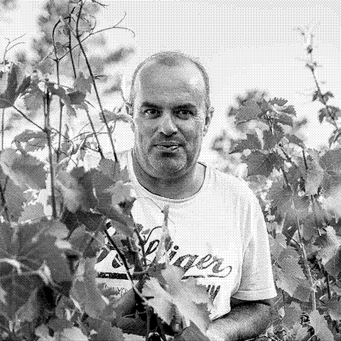 Les Traverses de Fontanes — natural wine producer