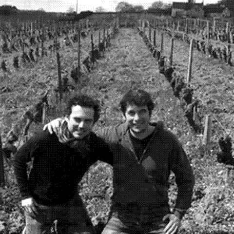 Philippe Mesnier and Nicolas Grosbois of Les Tetes, natural wine producer, in their vineyard in Touraine, Loire Valley, France