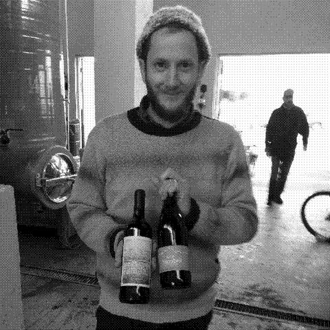 Louis-Antoine Luyt — natural wine producer
