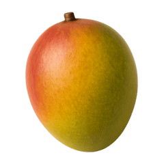 Mango Icon Tasting | Primal Wine