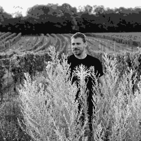 Markus Altenburger — natural wine producer
