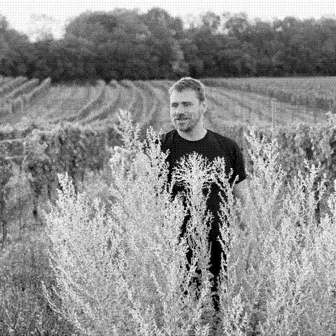 Markus Altenburger — natural wine producer
