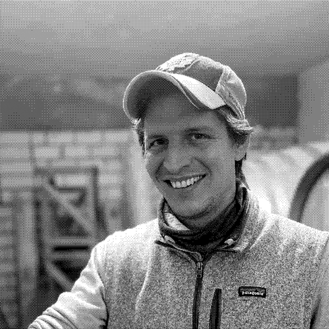Martin Wörner, natural wine producer of Marto, in his barrel cellar in Flonheim, Rheinhessen, Germany