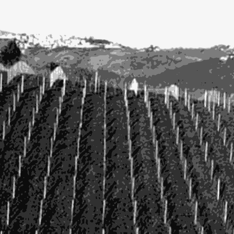 Mastropietro — natural wine producer