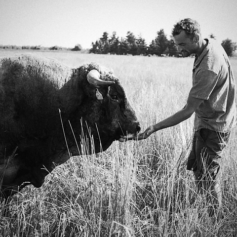 Meinklang, natural wine producer from Burgenland Austria