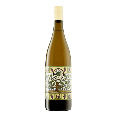 Mendall BB Blanc 2023, an organic orange wine from Catalunya, Spain, made from Macabeo grapes