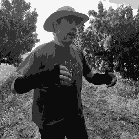 Mendall — natural wine producer