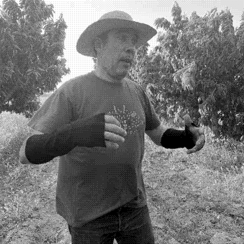 Mendall — natural wine producer