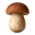 Mushroom Icon Tasting | Primal Wine