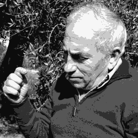 Natalino del Prete — natural wine producer