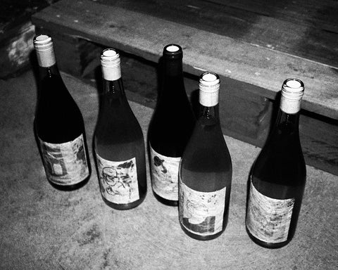 Natural wine bottles in black and white, Primal Wine natural wine club