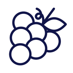 Natural Wine Icon | Primal Wine