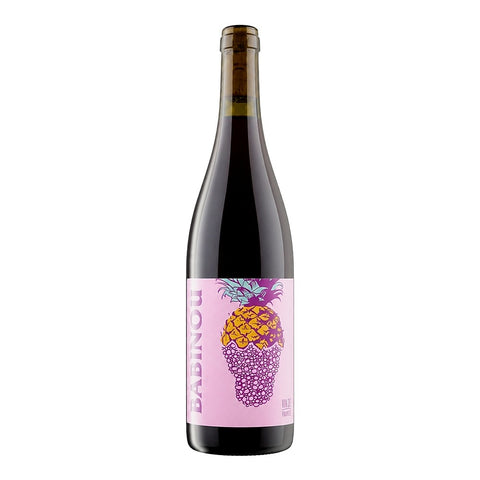 No Control Babinou 2022, a medium-bodied red wine from Loire Valley, France, showcasing the 2022 vintage