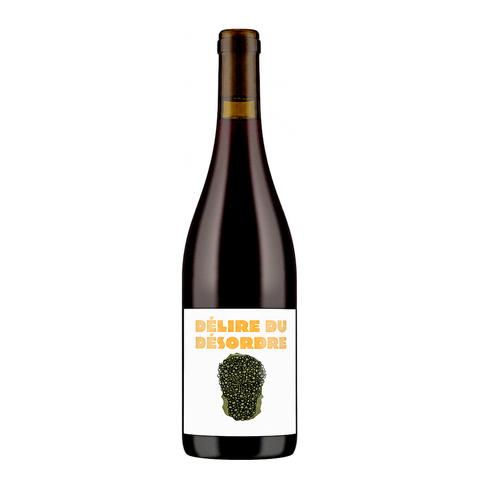 No Control Délire du Désordre Gamay 2024, natural wine bottle at Primal Wine