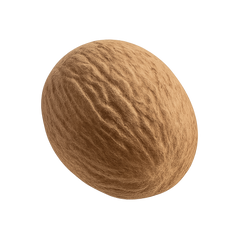 Nutmeg Icon Tasting | Primal Wine