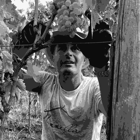 Nuzzella — natural wine producer