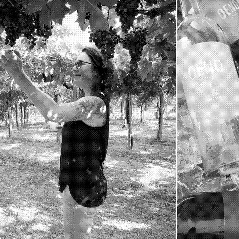 Oeno — natural wine producer