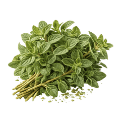 Oregano | Primal Wine