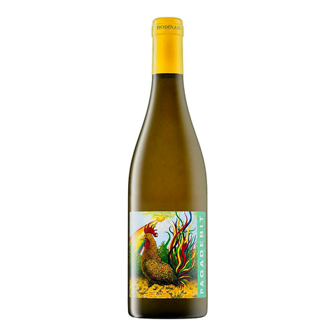 Tenuta Santa Lucia Pagadebit 2024, natural wine bottle at Primal Wine