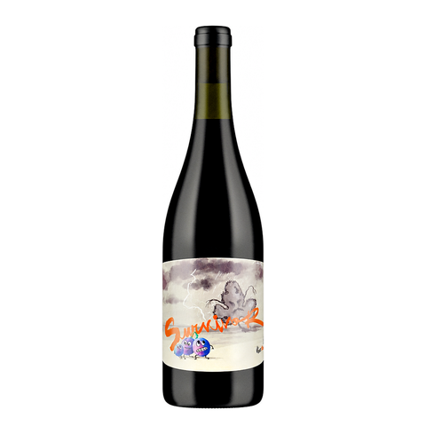 Panevino Survivor Rosso 2023, natural wine bottle at Primal Wine