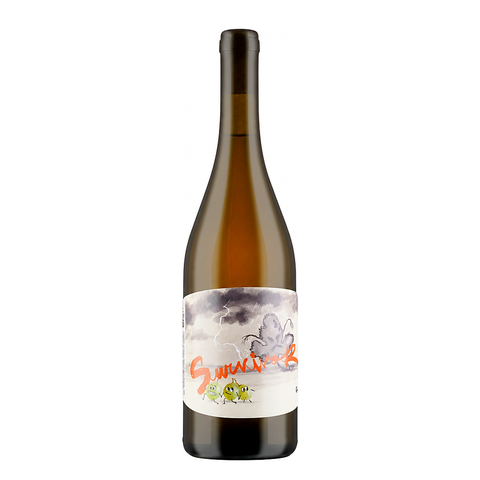 Panevino Survivor Bianco 2023 – natural white wine bottle, Italy | Primal Wine