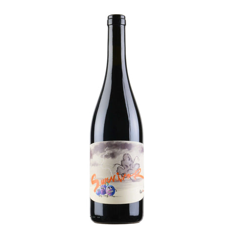 Bottle shot of Panevino Survivor Rosso, produced by Panevino, buy classic and natural wine online on Primal Wine, the best wine shop in the United States – primalwine.com