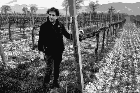 Paolo Bea — natural wine producer