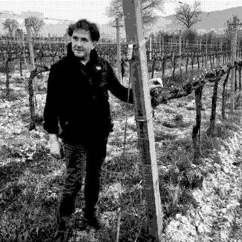 Paolo Bea — natural wine producer