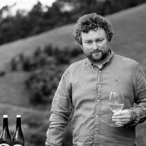 Patrick Sullivan — natural wine producer
