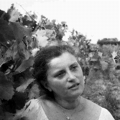 Pietraventosa — natural wine producer