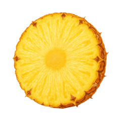 Pineapple Icon Tasting | Primal Wine