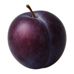 Plum Icon Tasting | Primal Wine