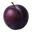 Plum Icon Tasting | Primal Wine
