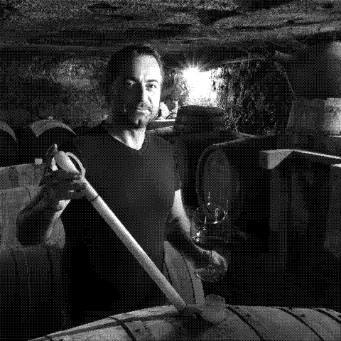 Poggio delle Baccanti, natural wine producer drawing wine from barrel in the cellar, Campania, Italy