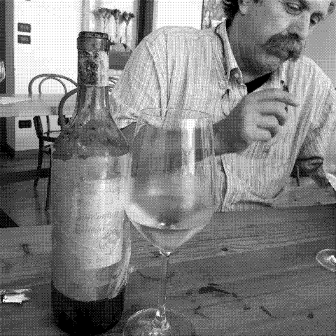 Pojer e Sandri — natural wine producer