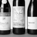 Primal Wine — natural wine producer