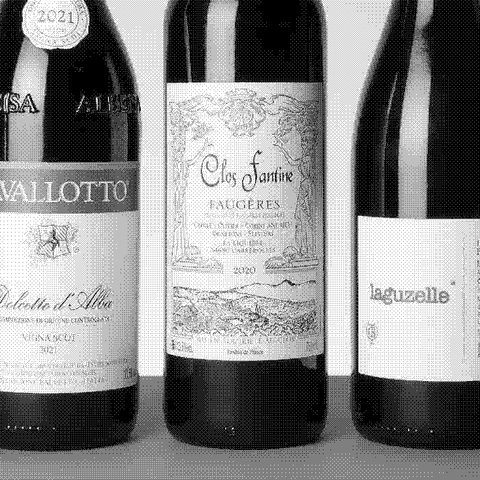 Primal Wine — natural wine producer