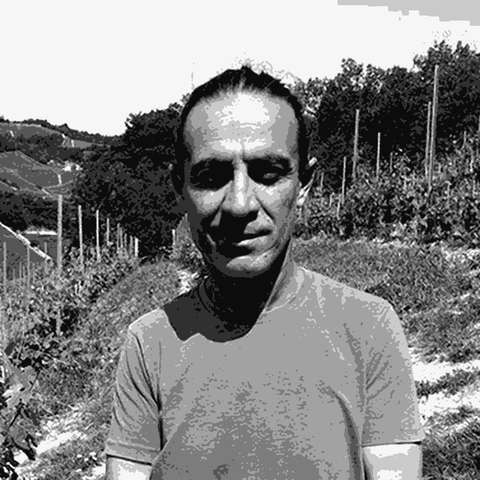 Principiano — natural wine producer