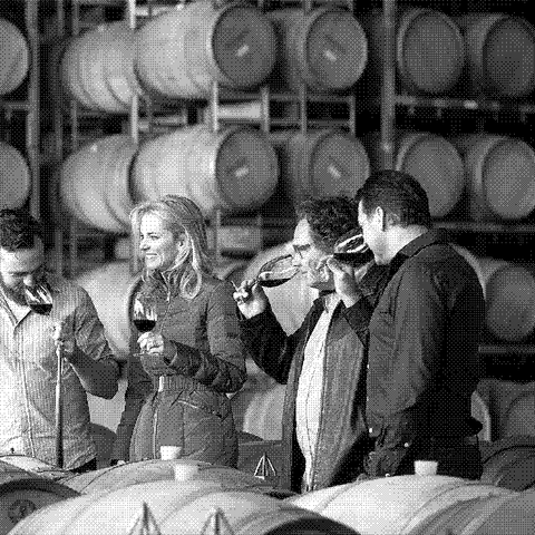 Purity Wine — natural wine producer