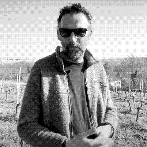 Quarticello Azienda Agricola — natural wine producer