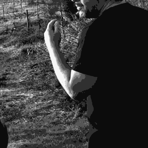 Quinta da Serradinha — natural wine producer