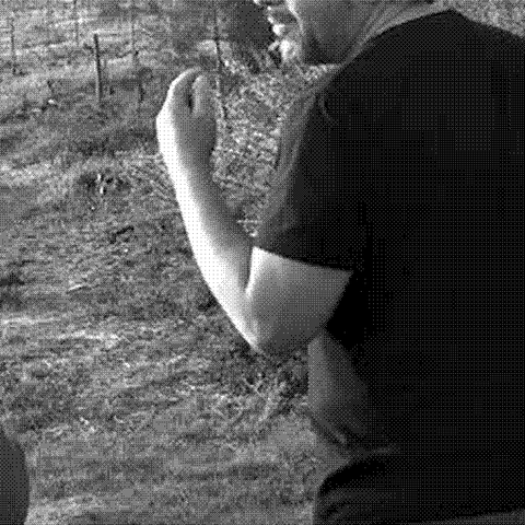 Quinta da Serradinha — natural wine producer