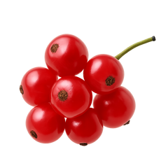 Red Berries Icon Tasting | Primal Wine