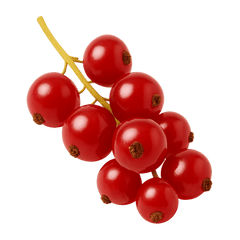 Fresh bunch of vibrant red currants on a green background, showcasing their glossy texture and natural beauty.