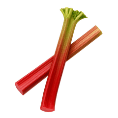 Rhubarb Tasting Icon | Primal Wine