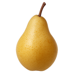 Ripe Pear Icon Tasting | Primal Wine