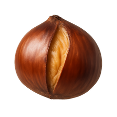 Roasted Chestnut Icon Tasting | Primal Wine