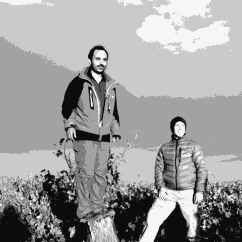 Rogue Vine — natural wine producer